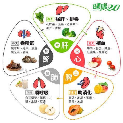 食物 五行|藥補不如食補！吃這『五色』食物養五臟